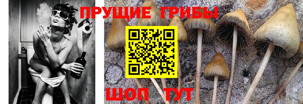 Псилоцибиновые грибы GOLDEN TEACHER  Вход с VPN  Верхняя Салда 